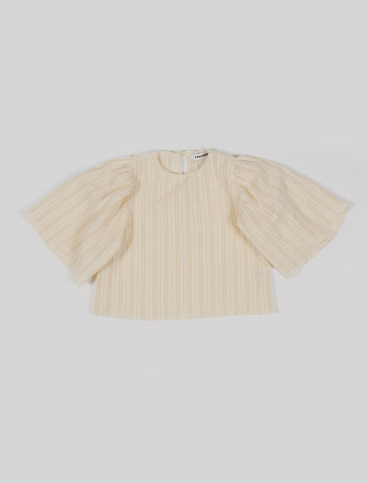 Volumed Sleeved Rustic Top