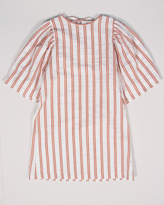 Volumed Sleeve Dress