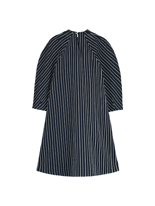 Puff Sleeve Dress