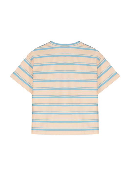 Light Blue Salmon Striped T-Shirt