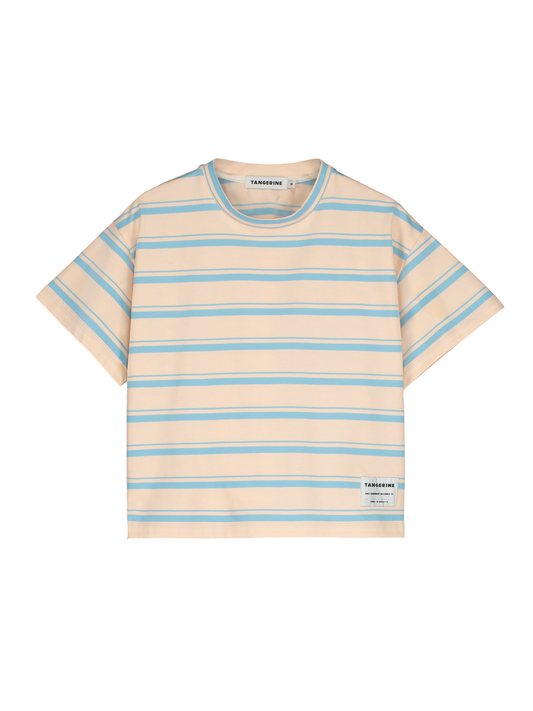 Light Blue Salmon Striped T-Shirt