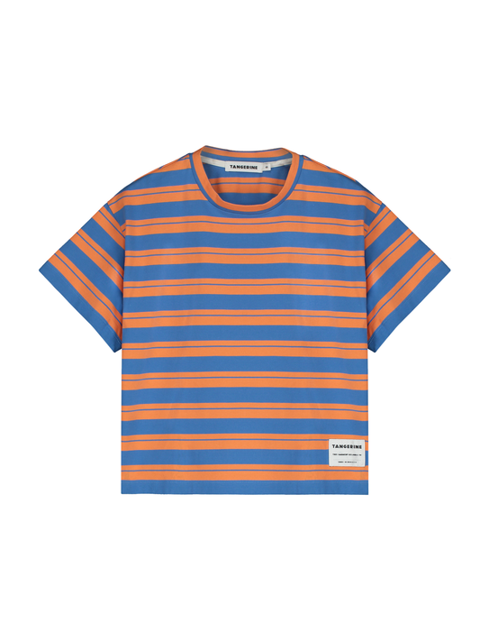 Blue Orange Striped T-Shirt